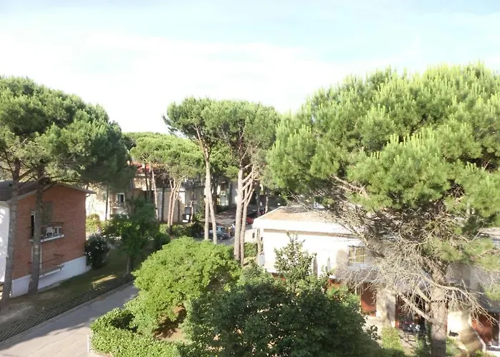 Flat Next To The In Pineda *