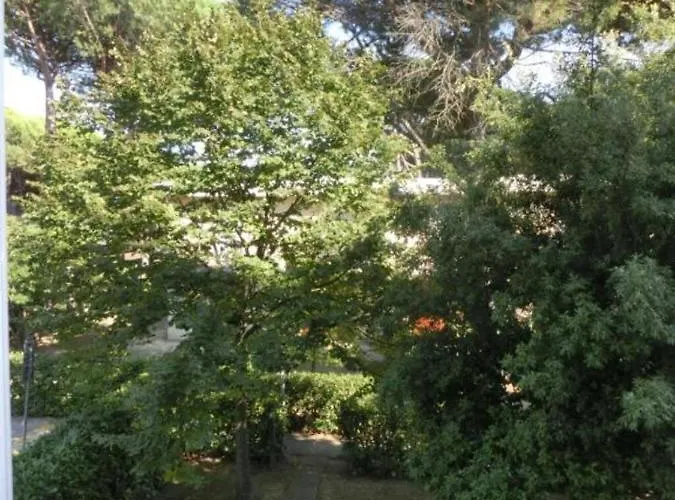 Flat Next To The In Pineda *